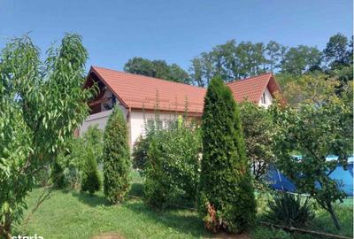 Casă cu 5 camere cu Teren 3000 Mp în Ceuaș - 6