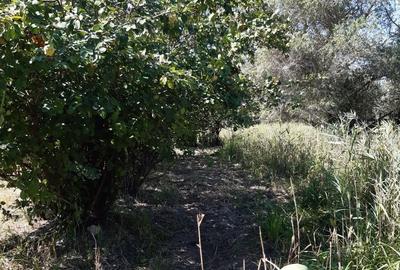 Teren de 1417 mp, în Central - 4