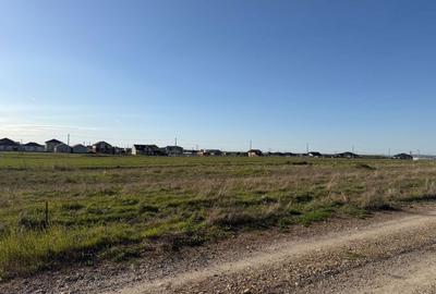 Teren de 505 mp, în Cihei - 3