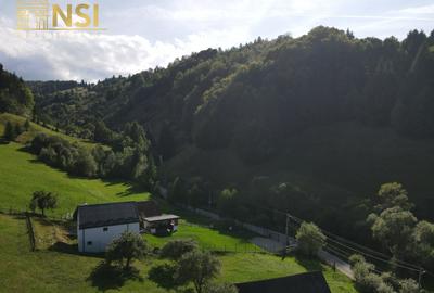 Teren intravilan de 2670 mp, în Bran - 6