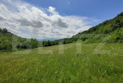 Teren de 28500 mp, în Gușterița - 3
