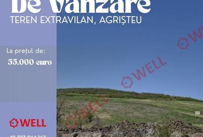 Teren agricol extravilan de 60000 mp, în Agrișteu