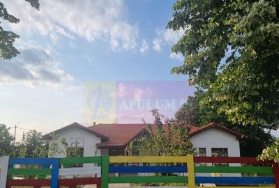 Se vinde teren 4200 mp in Teisori Giurgiu - 1