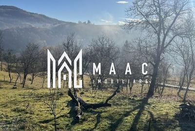 Teren Construcții intravilan de 14242 mp, în Sohodol - 4