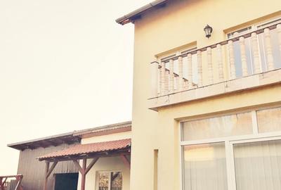 Casă cu 6 camere cu Teren 2255 Mp în Cenad - 7