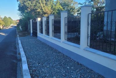 Vand vila P+1 230 mp utili+ anexa 70mp 30mp crama - 3