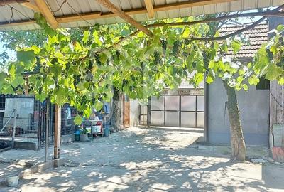 Casa cu teren in Tinca - 17