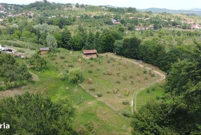 Spațiu comercial, în Cicănești - 11