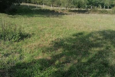 Teren de 4200 mp, în Boholt - 2