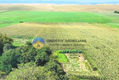 TEREN intravilan 9.126 mp - comuna STEFAN cel MARE - 12