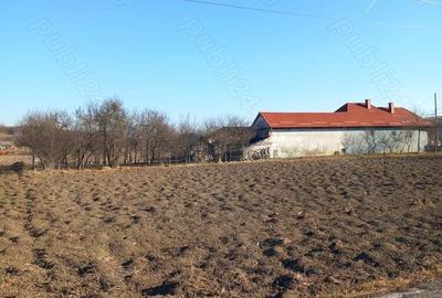 Teren de 1500 mp, în Borșa - 3