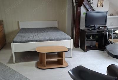 Garsonieră decomandată în Iosefin - 3