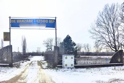 Spațiu comercial, de 144 mp, în Ulmi - 6