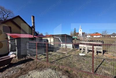 Casă cu 3 camere cu Teren 4669 Mp în Leț - 10