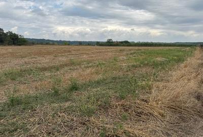 Vanzare Teren curs constructii Peris, judet Ilfov - 1