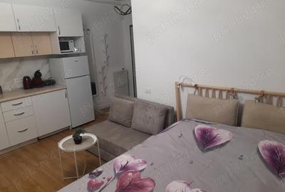 Garsonieră decomandată în Nord - 6