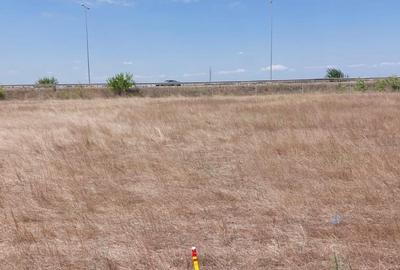 Vanzare  Teren intravilan  Matei Millo - Teren intravilan Pipera  Padure Baneasa - 2