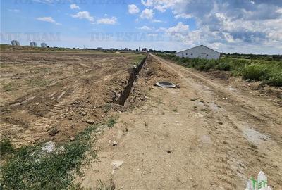 TEREN INTRAVILAN 50000 MP AGIGEA ZONA RO RO TEREN INTRAVILAN 50000 MP AGIGEA ZONA RO RO - 5