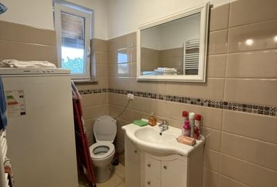 Triplex, 4 camere, 230mp utili, 335mp teren, mobilat - Dumbravita - 14