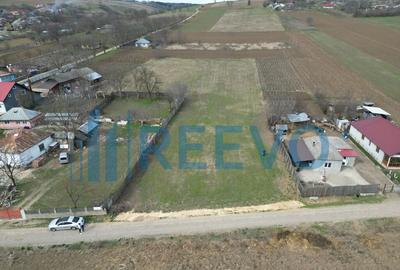 Teren de vanzare, Sat Bazga, Com. Horge?ti, Bacau - 19