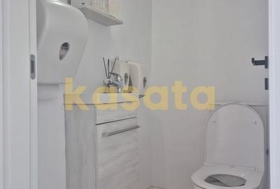 Spatiu Comercial I Tunari I 463 utili I curte 400 mp I parcare - 32