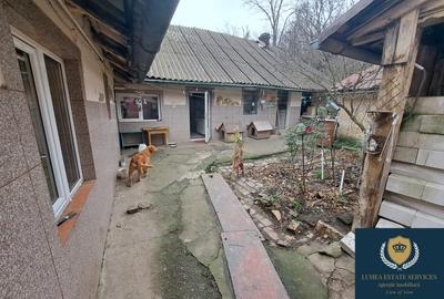 Casă 3 camere, 2 bucătării, Reșița, Muncitoresc - 8