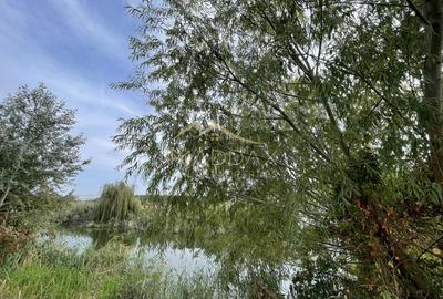 Teren intravilan ***15.000mp*** deschidere Lac Snagov 120ml // Snagov - 11