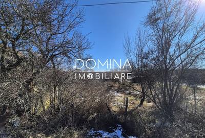 Teren Construcții de 6504 mp, în Curtișoara - 3