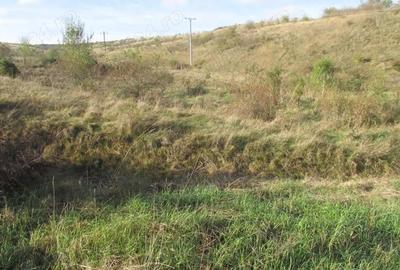 Teren de 15400 mp, în Zăvoi - 5