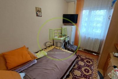 Garsonieră semidecomandată în Craiovița Nouă - 1
