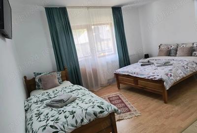 Casă cu 6 camere cu Teren 890 Mp în Cerdac