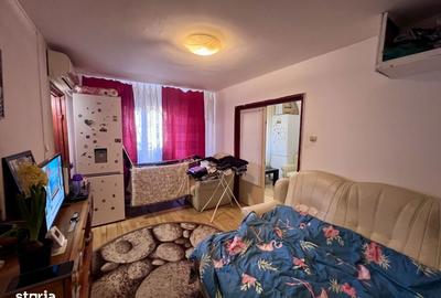 Apartament cu 2 camere nedecomandat, mobilat în Șagului