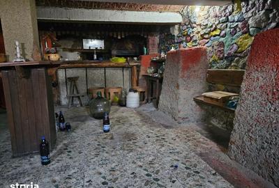 Spațiu comercial, de 1,500 mp, în Bod - 6