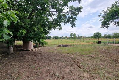 Casă cu 8 camere cu Teren 3651 Mp în Giulvăz - 16