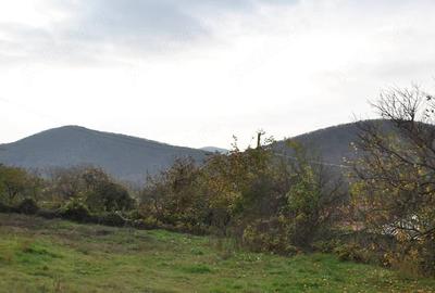 Teren de 2600 mp, în Telița - 2
