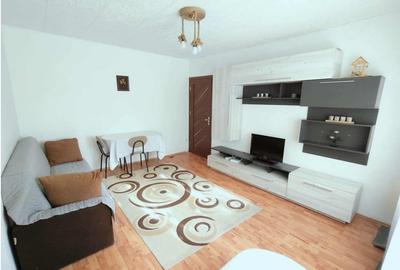 Apartament cu 2 camere semidecomandat, mobilat în Craiovița Nouă - 2