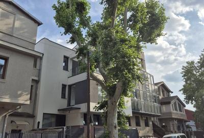 Casă cu 5 camere în Tineretului