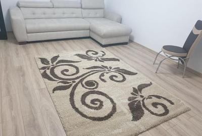 Apartament cu 3 camere decomandat, mobilat în Frații Golești