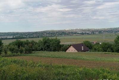 Teren de 5000 mp, în Uricani - 2