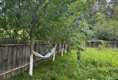 Casă cu Teren 1000 Mp în Bistrița - 8
