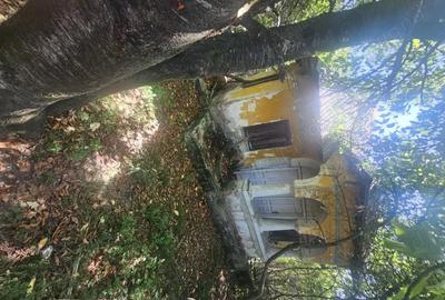 Teren de 1813 mp, în Mihăești - 9