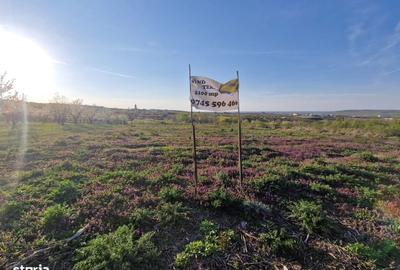Teren de 3100 mp, în Paleu