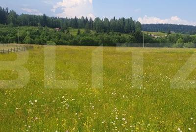 Teren de 10000 mp, în Șaru Dornei - 5