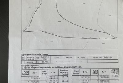 Teren de 20000 mp, în Rebrișoara - 3