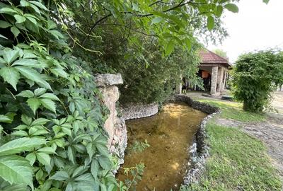 Casă individuală cu 7 camere cu Piscina în Izvorani - 9