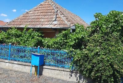 Casă cu Teren 15 Mp în Central - 3