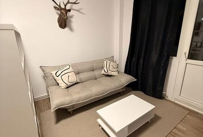 Apartament cu 2 camere decomandat, mobilat în Gară - 5