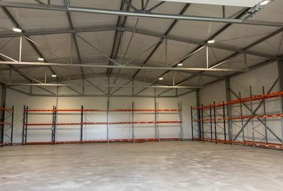 Spațiu industrial, de 590 mp, în Cernica - 3