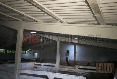 Teren de 8100 mp, în Mărtinești - 7