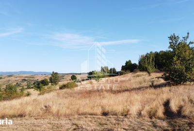 Teren de 50000 mp, în Teliucu Inferior